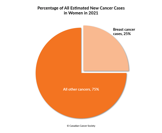 Diagram of percentage of breast cancer cases to all other cancers in women 2021