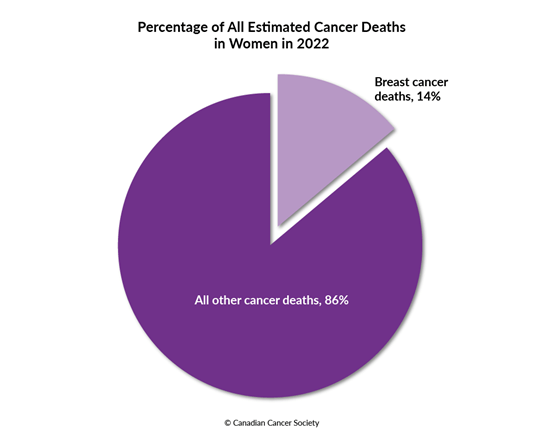 Diagram of percentage of breast cancer deaths to all other cancer deaths in women, 2022
