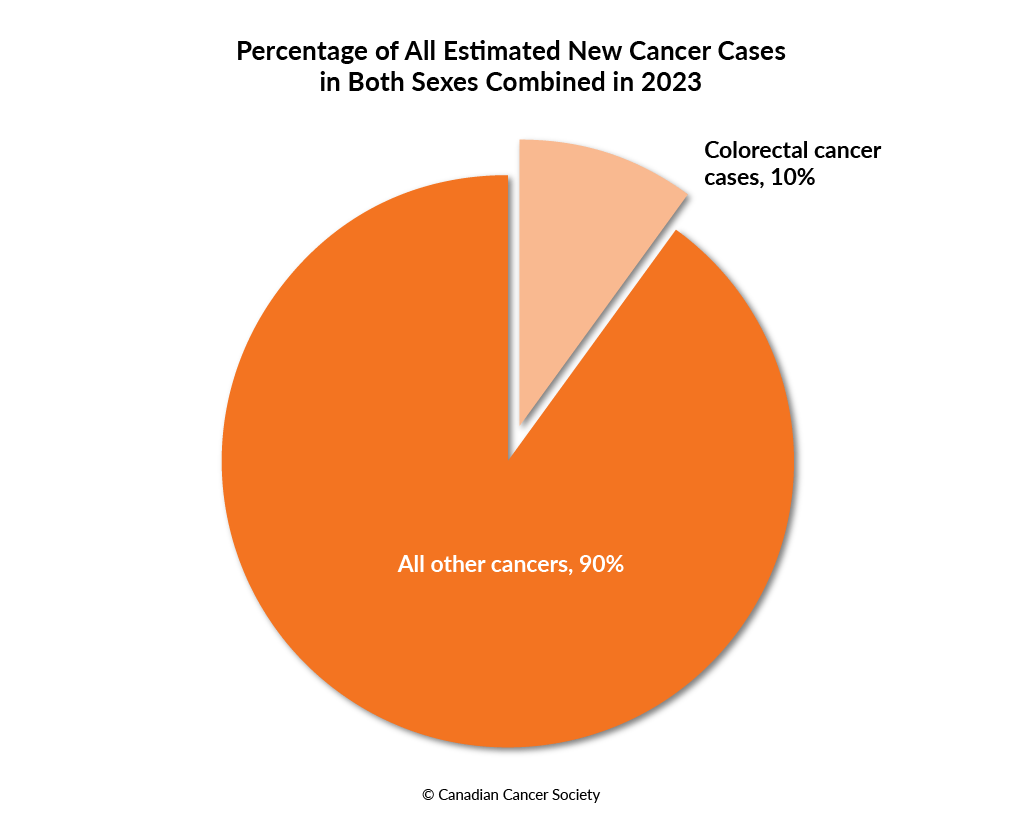 Diagram of the percentage of estimated new colorectal cancer cases in both sexes in 2023