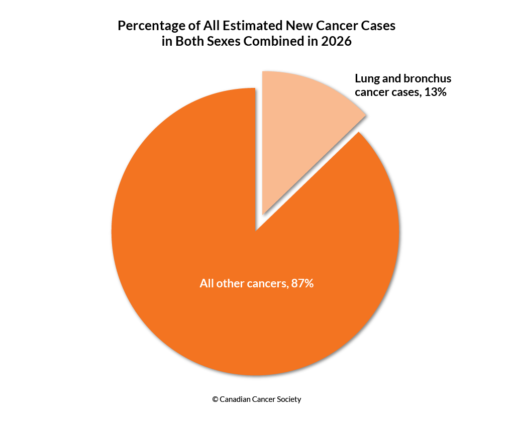 Diagram of the percentage of estimated new lung and bronchus cancer cases in both sexes in 2026