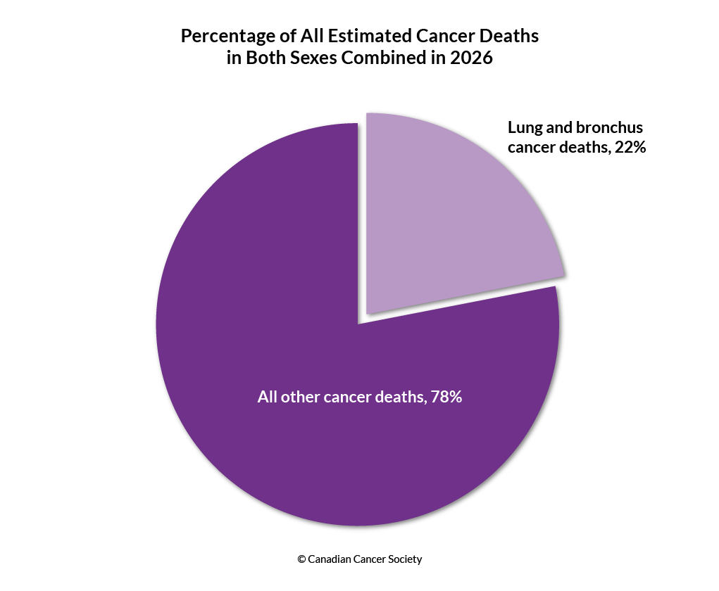 Diagram of the percentage of estimated lung and bronchus deaths in both sexes in 2026