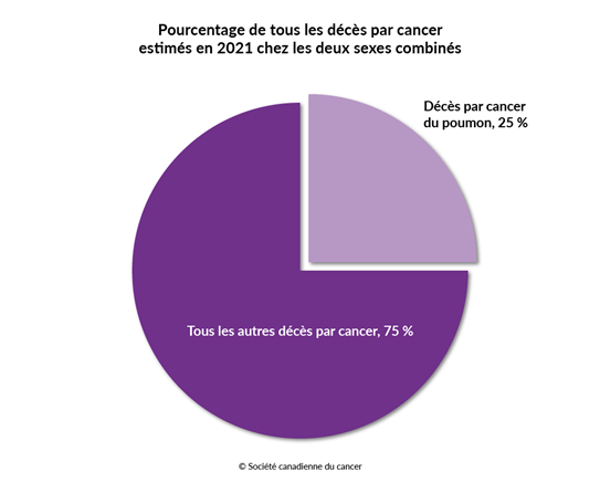 Schéma du pourcentage des décès par cancer du poumon par rapport à tous les autres décès par cancer en 2021
