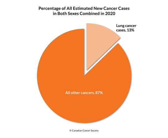 Diagram of percentage of lung cancer cases and all other cancers 2020