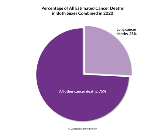 Diagram of percentage of lung cancer deaths and all other cancer deaths 2020