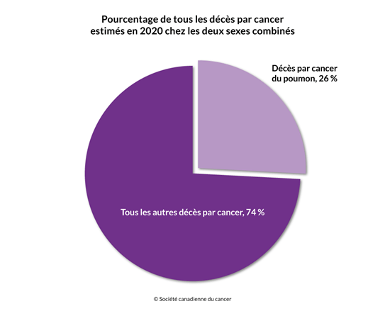 Schéma du pourcentage des décès par cancer du poumon et de tous les autres décès par cancer en 2020