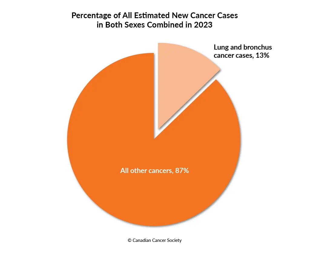 Diagram of the percentage of estimated new lung and bronchus cancer cases in both sexes in 2023