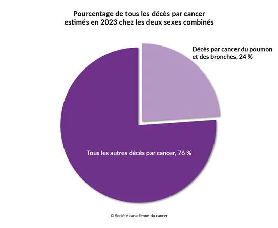 Schéma du pourcentage des décès par cancer du poumon et des bronches estimés en 2023 chez les deux sexes