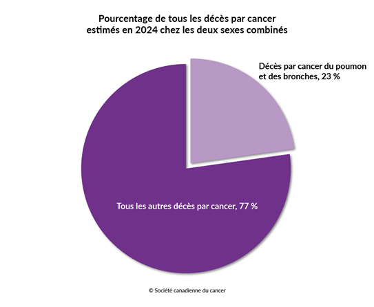 Schéma du pourcentage des décès par cancer du poumon et des bronches estimés en 2024 chez les deux sexes