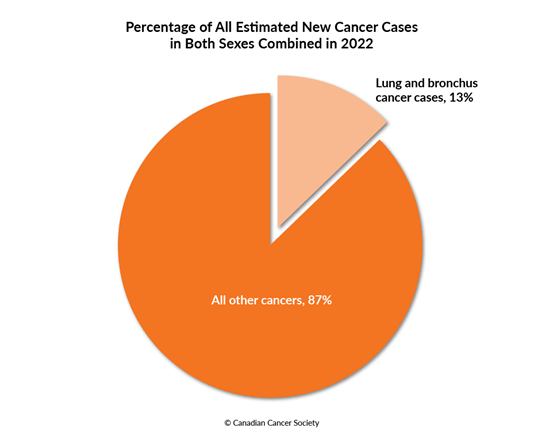 Diagram of percentage of lung and bronchus cancer cases compared to all other cancers, 2022