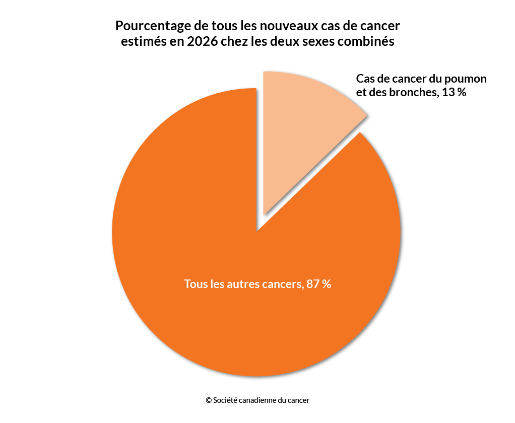 Schéma du pourcentage des nouveaux cas de cancer du poumon et des bronches estimés en 2026 chez les deux sexes