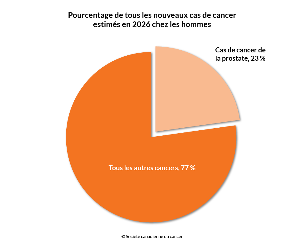 Schéma du pourcentage des nouveaux cas de cancer de la prostate estimés en 2026 chez les hommes