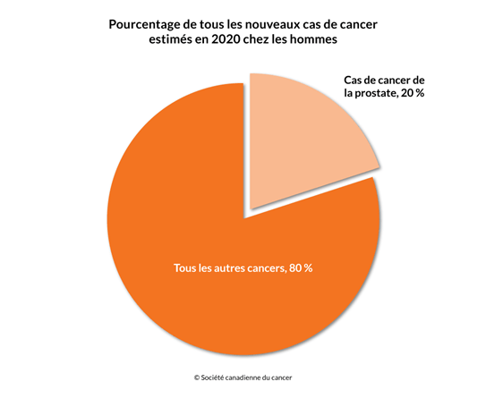 Schéma du pourcentage des nouveaux cas de cancer en 2020 incluant le cancer de la prostate