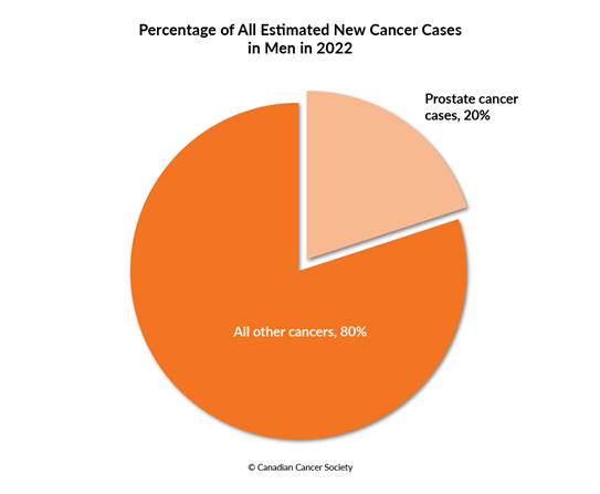Diagram of the percentage of estimated new prostate cancer cases compared to all other new cancer cases in men in 2022