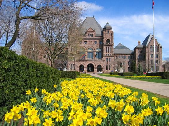 The Canadian parliament building with a daffodil garden in the foreground