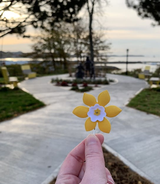 A daffodil pin is being held up with the daffodil garden in the background