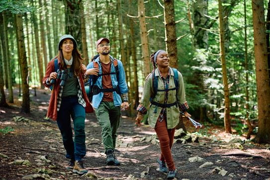 Three friends smiling and hiking on a path in the woods
