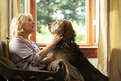 Une femme assise sur une chaise en train de caresser un chien