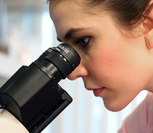 A female researcher looking through a microscope 