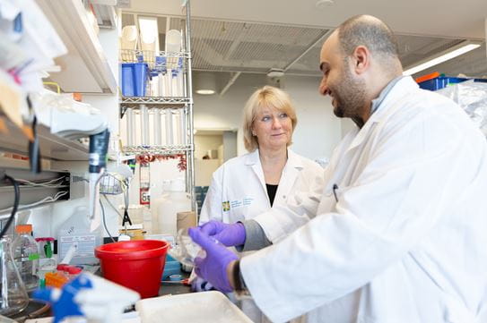 Dr Park talking with a man in a lab coat in a lab.