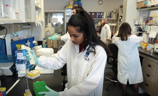 Un groupe de chercheurs travaillant dans un laboratoire