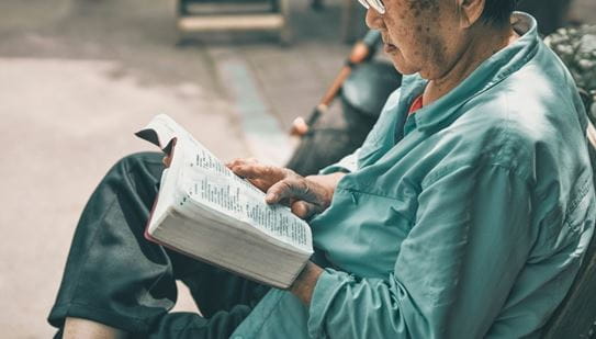 Une personne assise, en train de lire un livre.