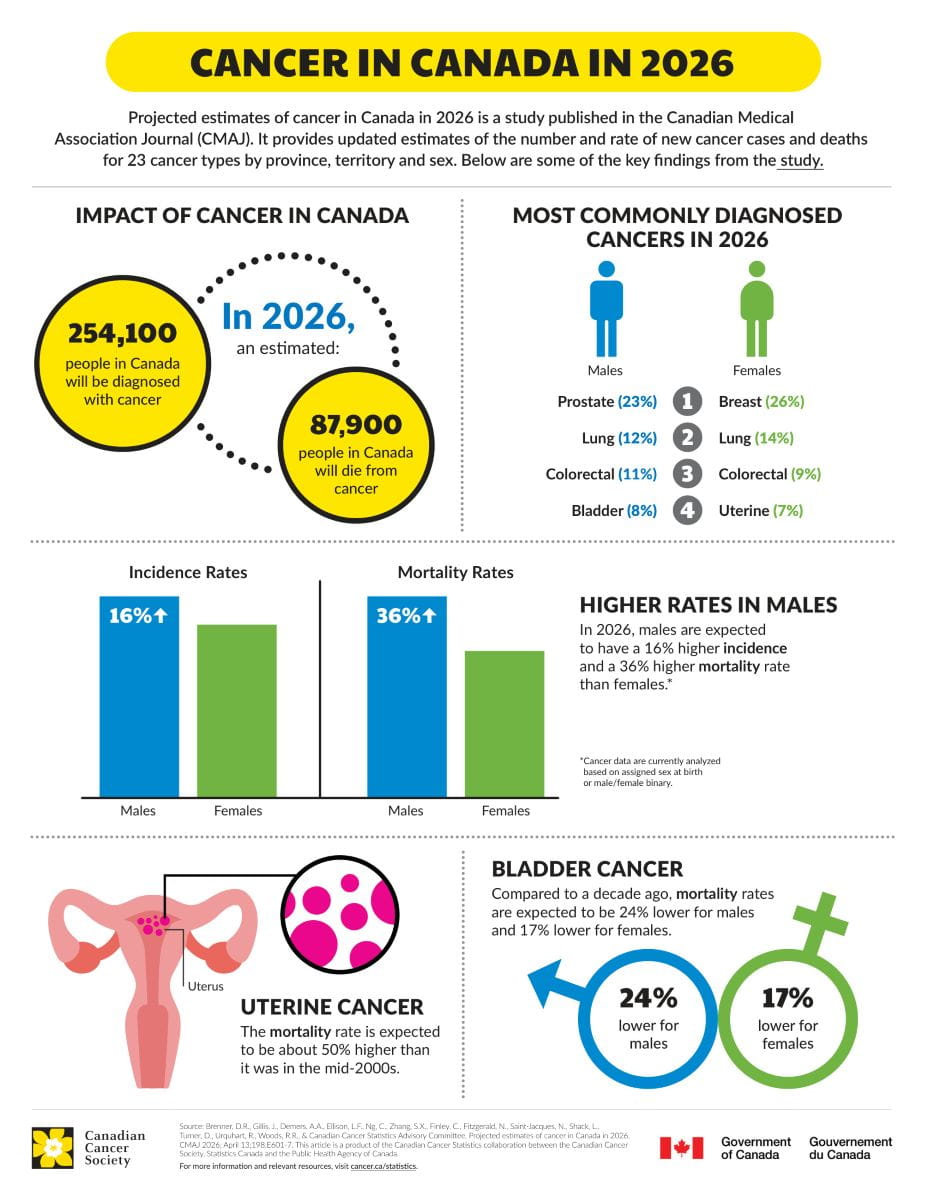 Infographic titled “Cancer in Canada in 2026.” In 2026, an estimated 254,100 people in Canada will be diagnosed with cancer and 87,900 will die from it. Males are expected to have higher incidence (16%) and mortality (36%) rates than females. Most commonly diagnosed cancers are prostate (23%), lung (12%), colorectal (11%), and bladder (8%) in males, and breast (26%), lung (14%), colorectal (9%), and uterine (7%) in females. Uterine cancer mortality rate is expected to be about 50% higher than in the mid‑2000s. Bladder cancer mortality rates are 24% lower for males and 17% lower for females compared to a decade ago. 