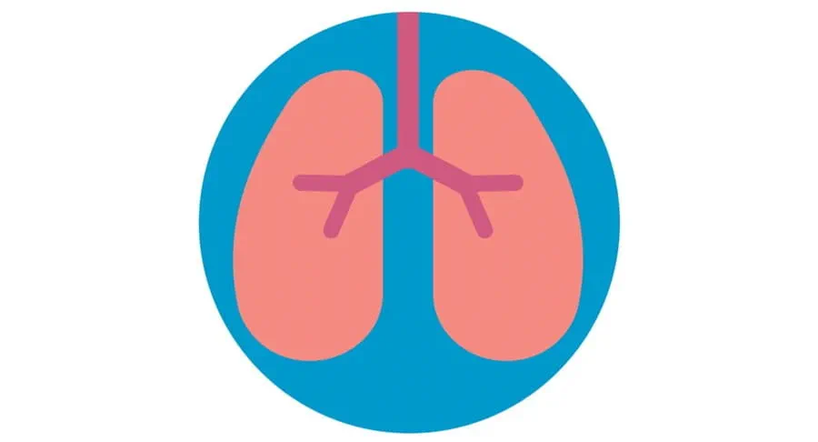 Image of the lungs