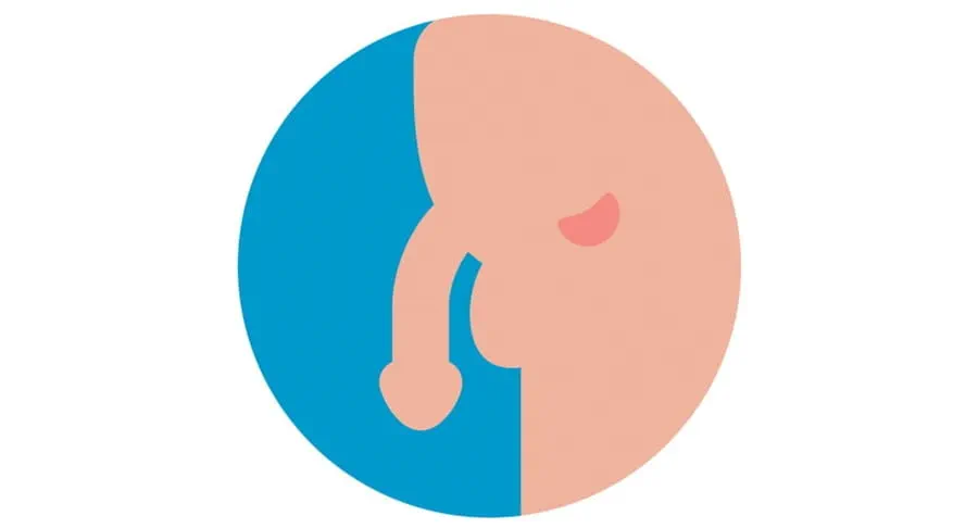 Image of the prostate