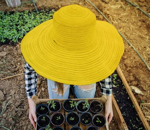 Jardinier s’occupant de plantes dehors et portant un grand chapeau de soleil