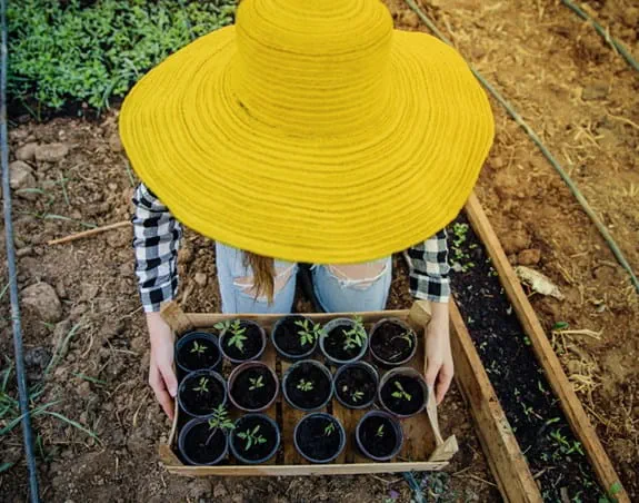 Gardener working outside with plants wearing a large sun hat