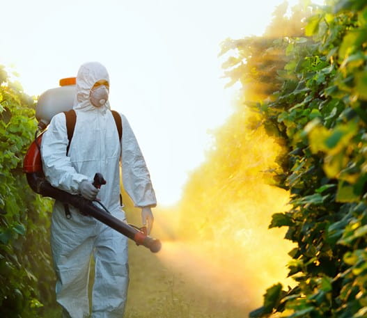 Crops being sprayed with pesticides