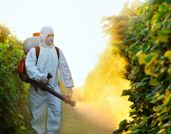 Crops being sprayed with pesticides