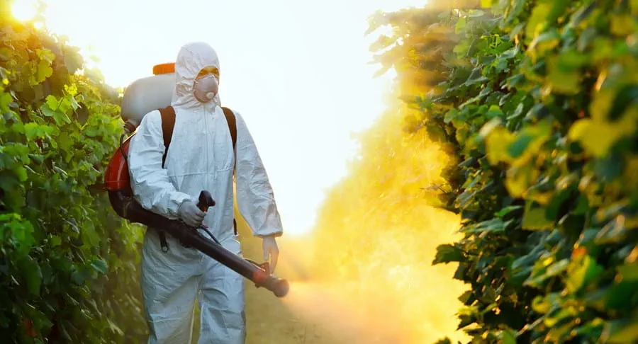 Crops being sprayed with pesticides