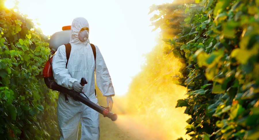 Pulvérisation de pesticides sur des cultures