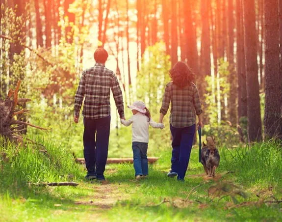 A family holding hands and walking their dog in the forest