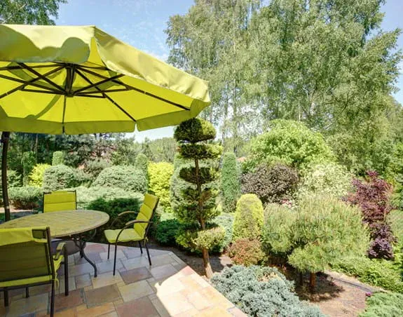 Backyard patio with a table, chairs and large umbrella and shrubbery in the background