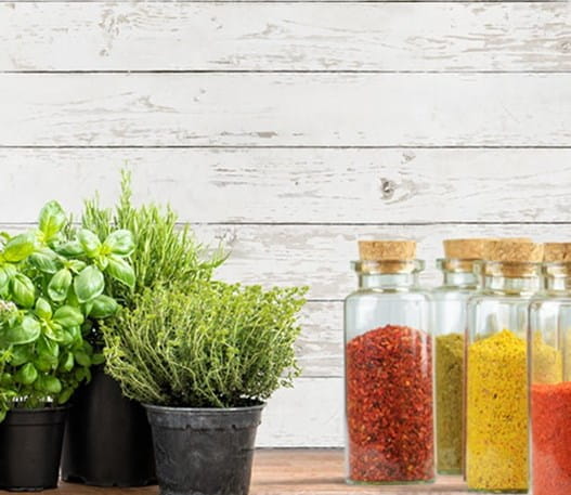 Potted herbs and jars of spices