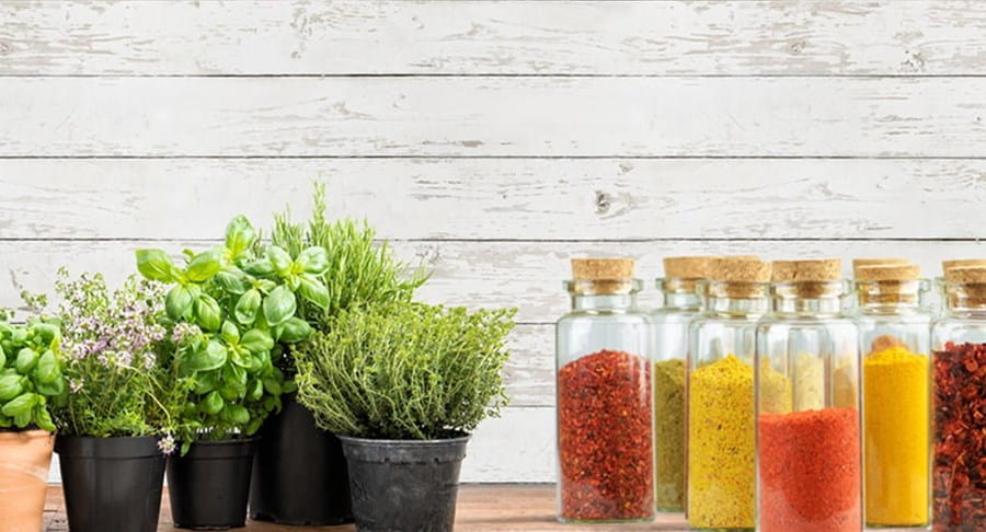 Potted herbs and jars of spices