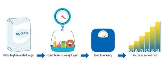 Infographic showing added sugars contribute to weight gain and obesity, which can increase cancer risk
