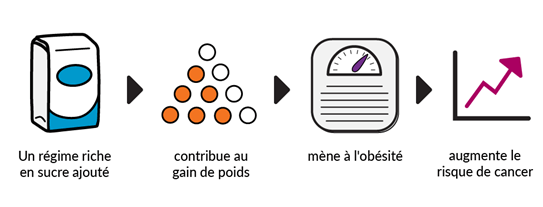 Infographie montrant que les sucres ajoutés contribuent à la prise de poids et à l’obésité, ce qui peut accroître le risque de cancer