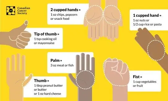 How to measure portion sizes using your hands