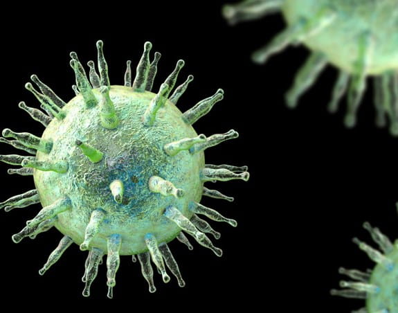 3D image of the Epstein-Barr virus