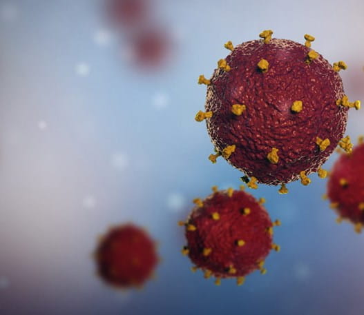 3D image of the HIV virus