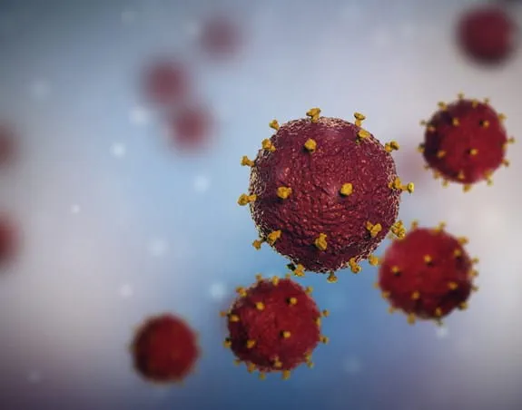 3D image of the HIV virus
