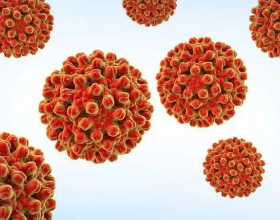 Image en 3D du virus de l’hépatite