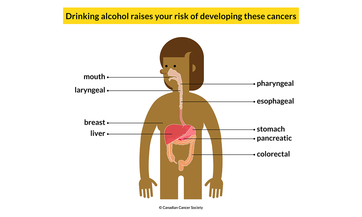 update-126-alcohol-and-hair-loss-latest-tnbvietnam-edu-vn