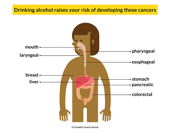 effects of drinking alcohol
