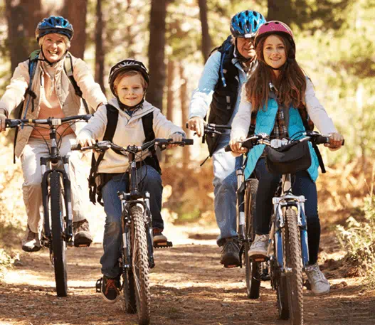 A family riding bikes on a path in the forest