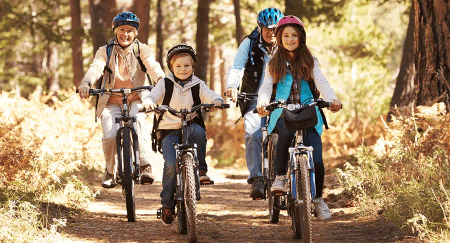A family riding bikes on a path in the forest