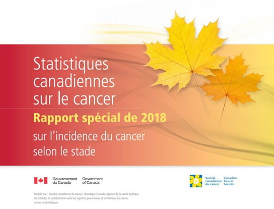 Deux feuilles d'érable jaune